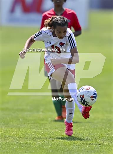 null - Photo 11