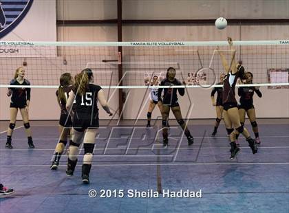 Thumbnail 2 in Wiregrass @ Carrollwood Day School photogallery.
