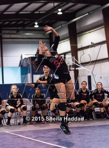 Thumbnail 3 in Wiregrass @ Carrollwood Day School photogallery.