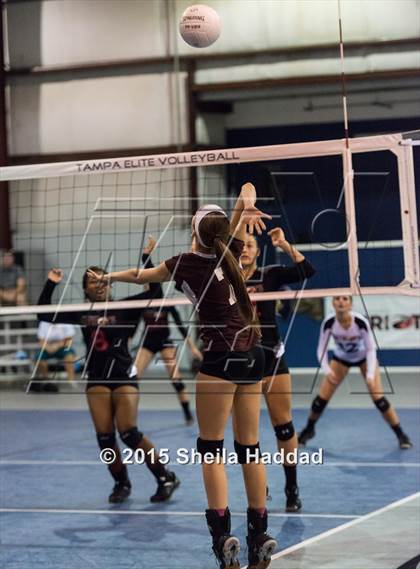 Thumbnail 3 in Wiregrass @ Carrollwood Day School photogallery.