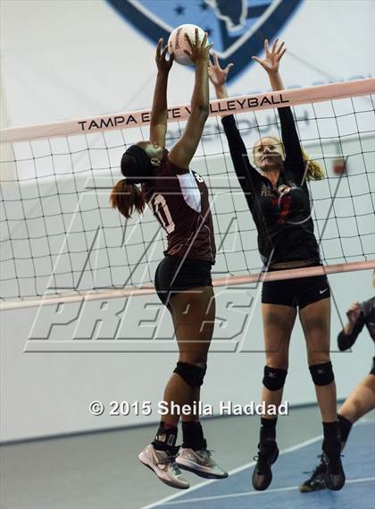 Thumbnail 1 in Wiregrass @ Carrollwood Day School photogallery.