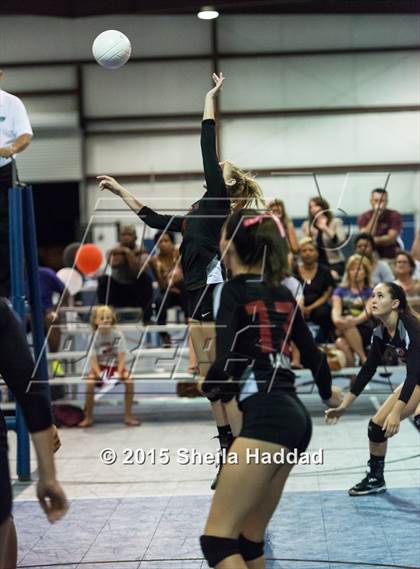 Thumbnail 2 in Wiregrass @ Carrollwood Day School photogallery.