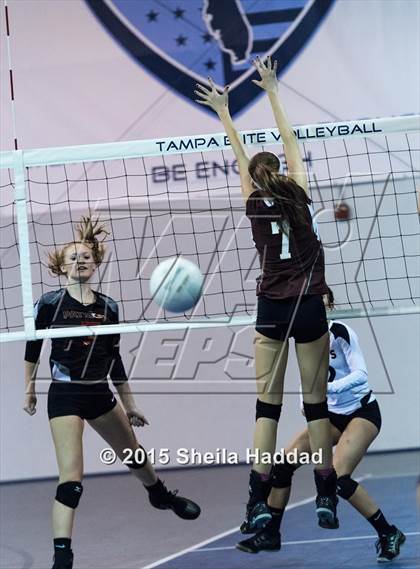 Thumbnail 1 in Wiregrass @ Carrollwood Day School photogallery.
