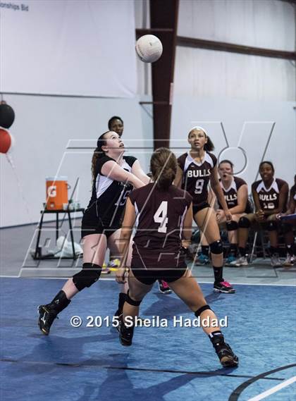 Thumbnail 1 in Wiregrass @ Carrollwood Day School photogallery.