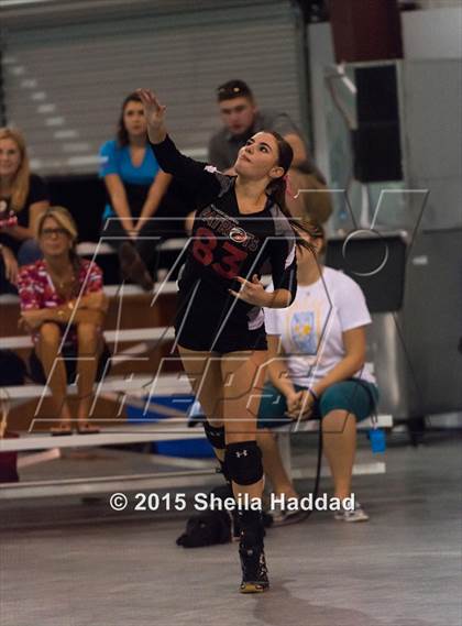 Thumbnail 3 in Wiregrass @ Carrollwood Day School photogallery.