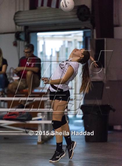 Thumbnail 1 in Wiregrass @ Carrollwood Day School photogallery.