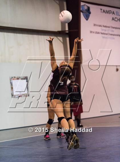 Thumbnail 2 in Wiregrass @ Carrollwood Day School photogallery.