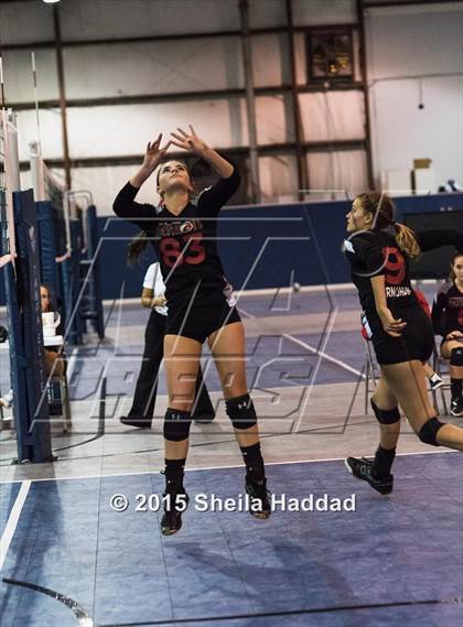 Thumbnail 3 in Wiregrass @ Carrollwood Day School photogallery.