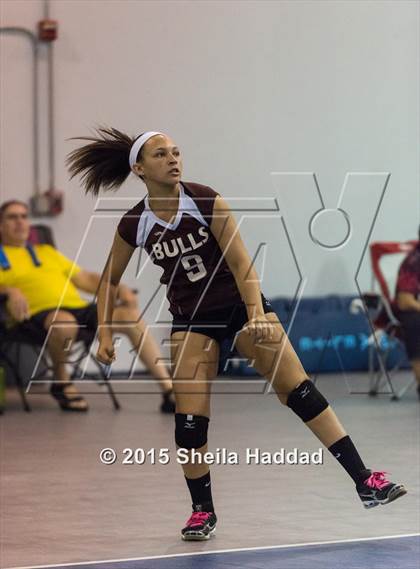 Thumbnail 3 in Wiregrass @ Carrollwood Day School photogallery.
