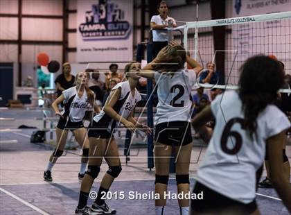 Thumbnail 2 in Wiregrass @ Carrollwood Day School photogallery.