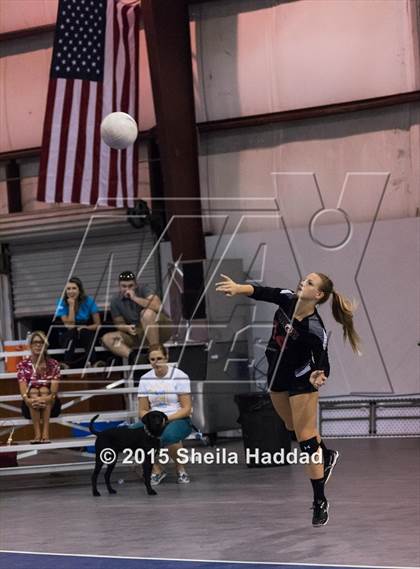 Thumbnail 1 in Wiregrass @ Carrollwood Day School photogallery.