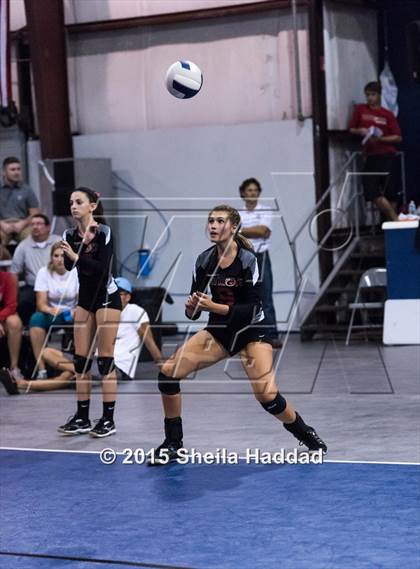 Thumbnail 2 in Wiregrass @ Carrollwood Day School photogallery.