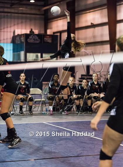 Thumbnail 1 in Wiregrass @ Carrollwood Day School photogallery.