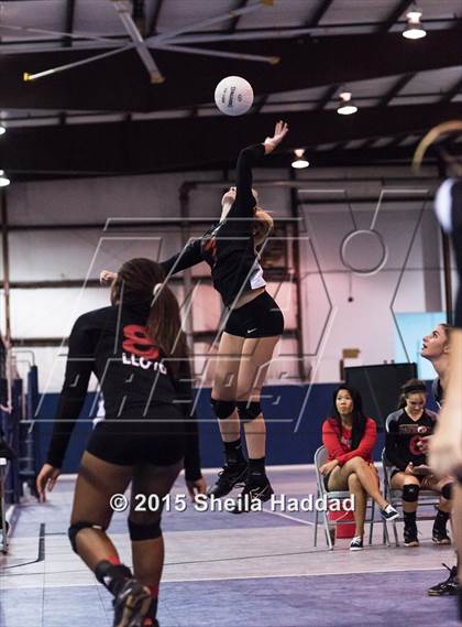 Thumbnail 1 in Wiregrass @ Carrollwood Day School photogallery.