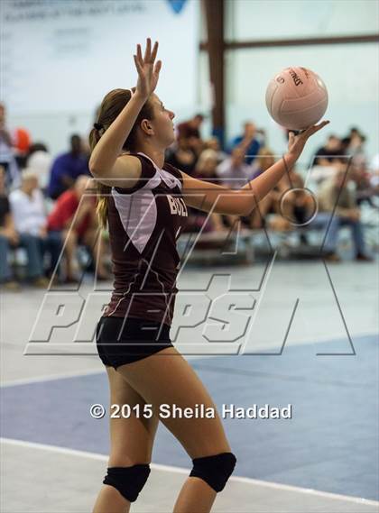 Thumbnail 2 in Wiregrass @ Carrollwood Day School photogallery.