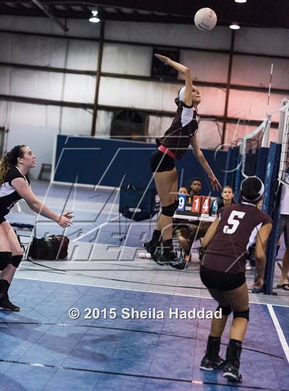 Thumbnail 3 in Wiregrass @ Carrollwood Day School photogallery.