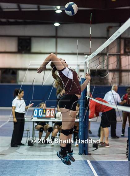 Thumbnail 2 in Wiregrass @ Carrollwood Day School photogallery.