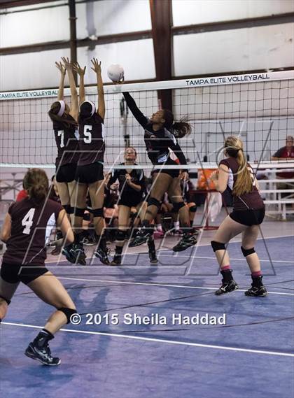 Thumbnail 1 in Wiregrass @ Carrollwood Day School photogallery.