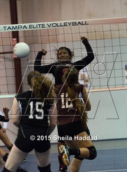 Thumbnail 3 in Wiregrass @ Carrollwood Day School photogallery.