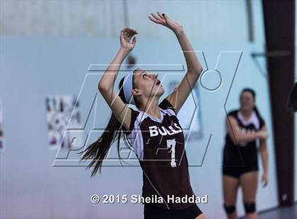 Thumbnail 2 in Wiregrass @ Carrollwood Day School photogallery.