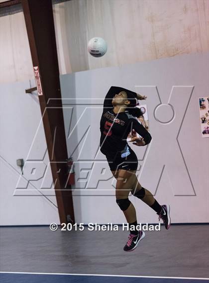 Thumbnail 2 in Wiregrass @ Carrollwood Day School photogallery.