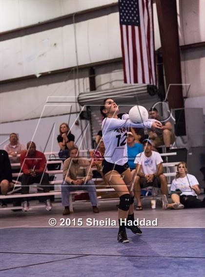 Thumbnail 2 in Wiregrass @ Carrollwood Day School photogallery.