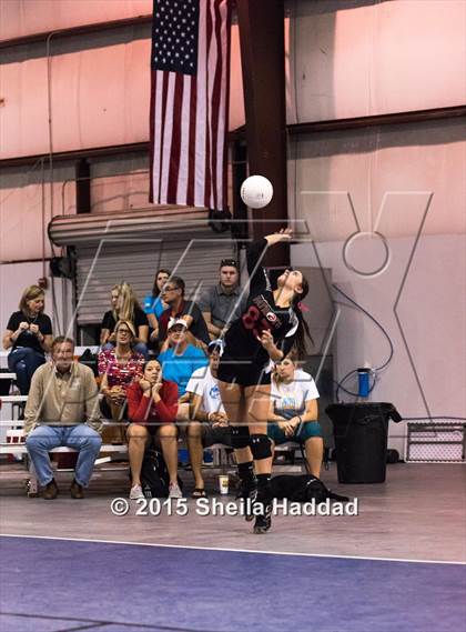 Thumbnail 1 in Wiregrass @ Carrollwood Day School photogallery.