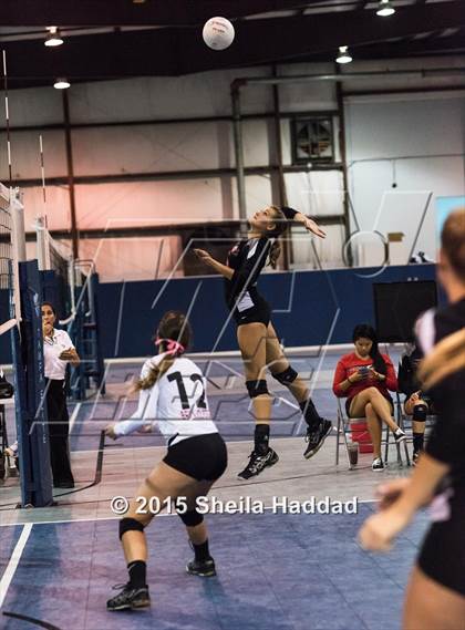 Thumbnail 2 in Wiregrass @ Carrollwood Day School photogallery.