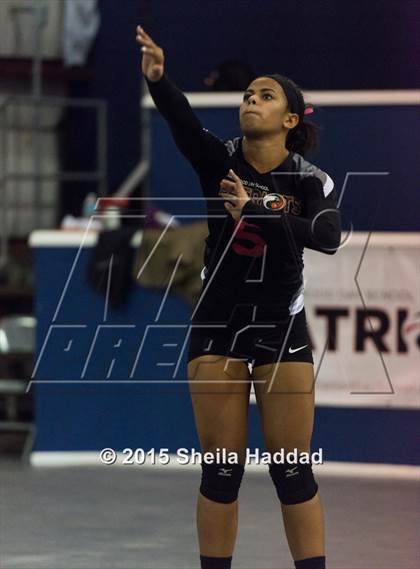 Thumbnail 2 in Wiregrass @ Carrollwood Day School photogallery.