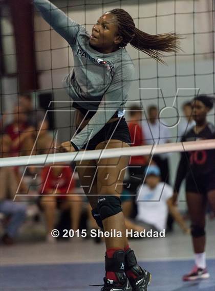 Thumbnail 2 in Wiregrass @ Carrollwood Day School photogallery.