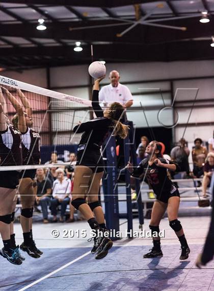 Thumbnail 1 in Wiregrass @ Carrollwood Day School photogallery.