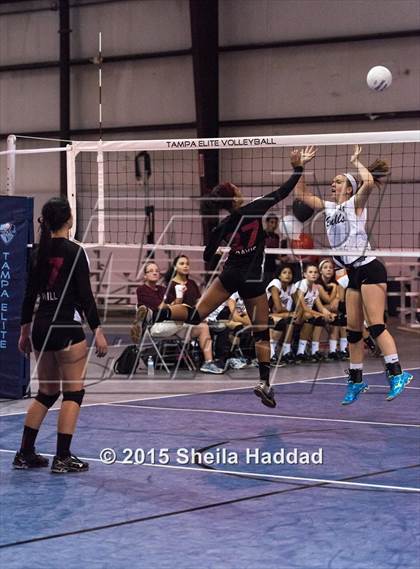 Thumbnail 1 in Wiregrass @ Carrollwood Day School photogallery.