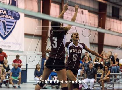 Thumbnail 1 in Wiregrass @ Carrollwood Day School photogallery.