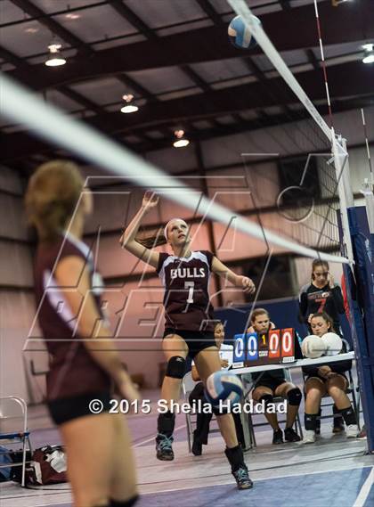 Thumbnail 1 in Wiregrass @ Carrollwood Day School photogallery.
