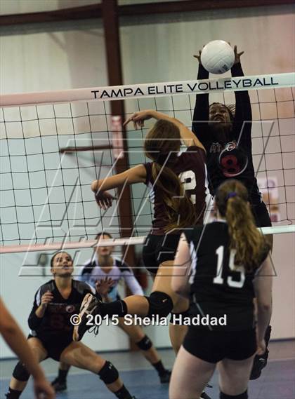 Thumbnail 2 in Wiregrass @ Carrollwood Day School photogallery.
