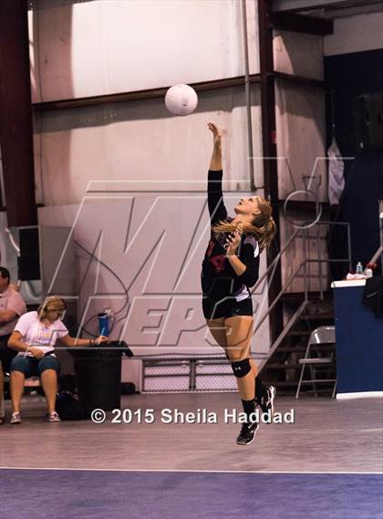 Thumbnail 2 in Wiregrass @ Carrollwood Day School photogallery.