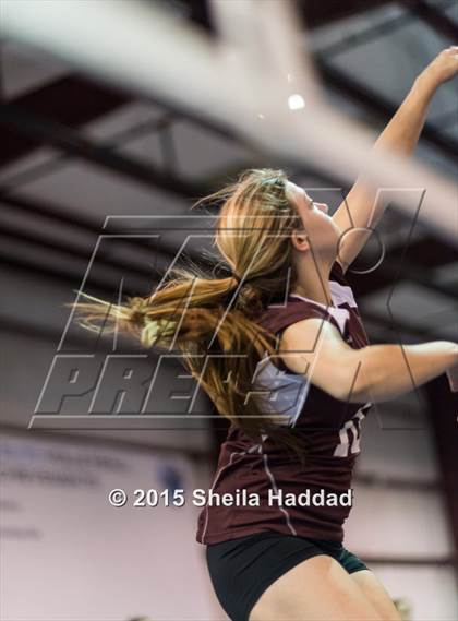 Thumbnail 2 in Wiregrass @ Carrollwood Day School photogallery.