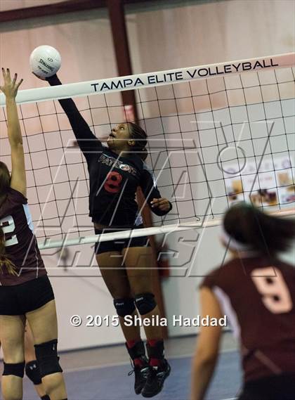 Thumbnail 2 in Wiregrass @ Carrollwood Day School photogallery.