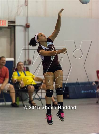 Thumbnail 2 in Wiregrass @ Carrollwood Day School photogallery.