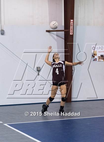 Thumbnail 3 in Wiregrass @ Carrollwood Day School photogallery.
