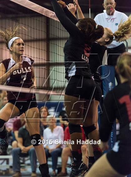 Thumbnail 3 in Wiregrass @ Carrollwood Day School photogallery.