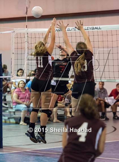 Thumbnail 2 in Wiregrass @ Carrollwood Day School photogallery.