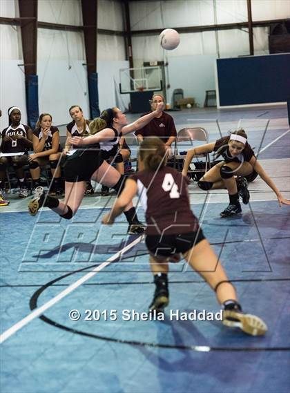 Thumbnail 1 in Wiregrass @ Carrollwood Day School photogallery.