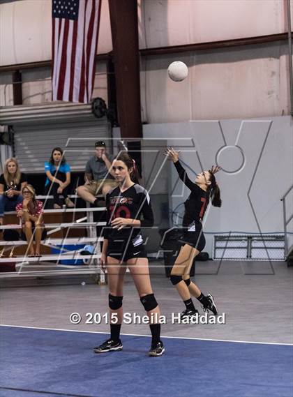 Thumbnail 2 in Wiregrass @ Carrollwood Day School photogallery.