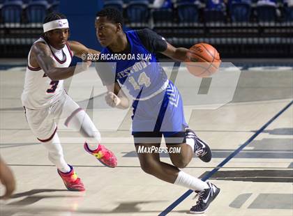 Thumbnail 1 in Lamar vs Westbury photogallery.