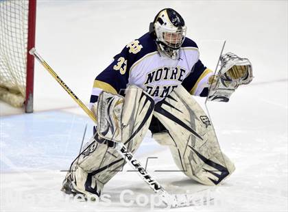 Thumbnail 1 in Darien vs. Notre Dame, Fairfield (CIAC DI Semifinal) photogallery.