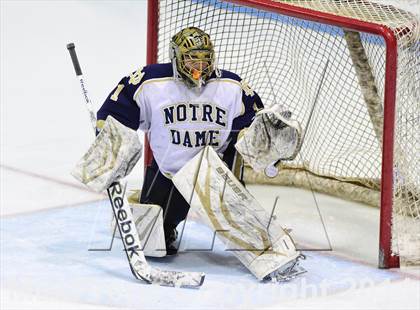 Thumbnail 2 in Darien vs. Notre Dame, Fairfield (CIAC DI Semifinal) photogallery.