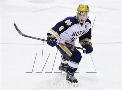 Thumbnail 1 in Darien vs. Notre Dame, Fairfield (CIAC DI Semifinal) photogallery.