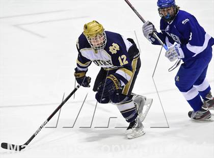 Thumbnail 1 in Darien vs. Notre Dame, Fairfield (CIAC DI Semifinal) photogallery.