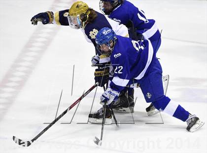 Thumbnail 1 in Darien vs. Notre Dame, Fairfield (CIAC DI Semifinal) photogallery.